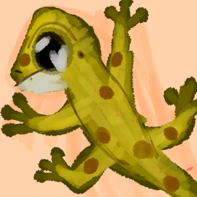 +It's a gecko! +