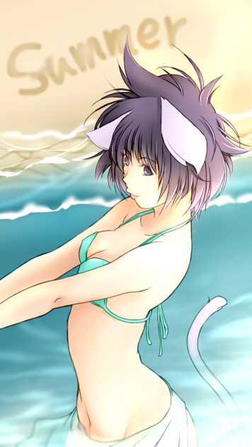 猫美ちゃん Summer