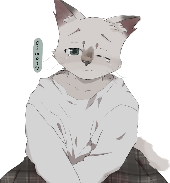 Commission! OC- Cimot