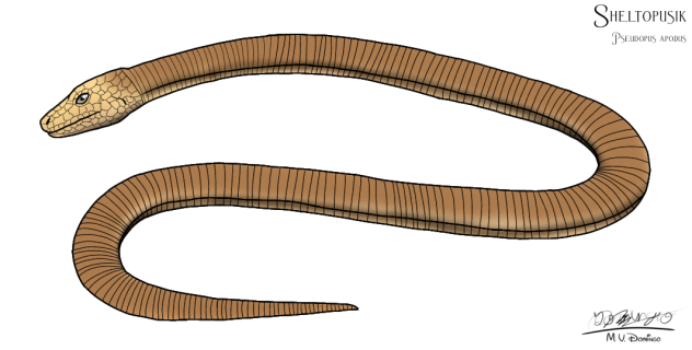 Sheltopusik - Желтопузик