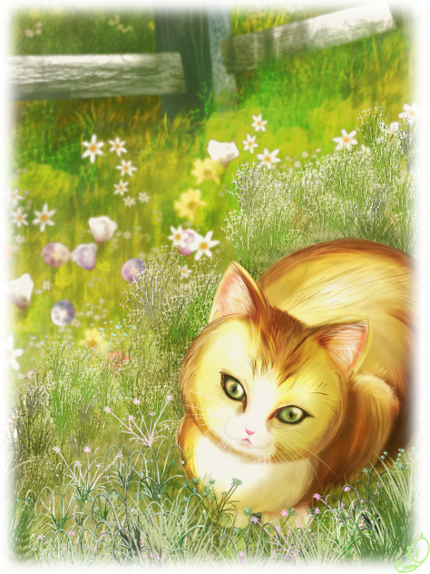 🌿🐱🌿