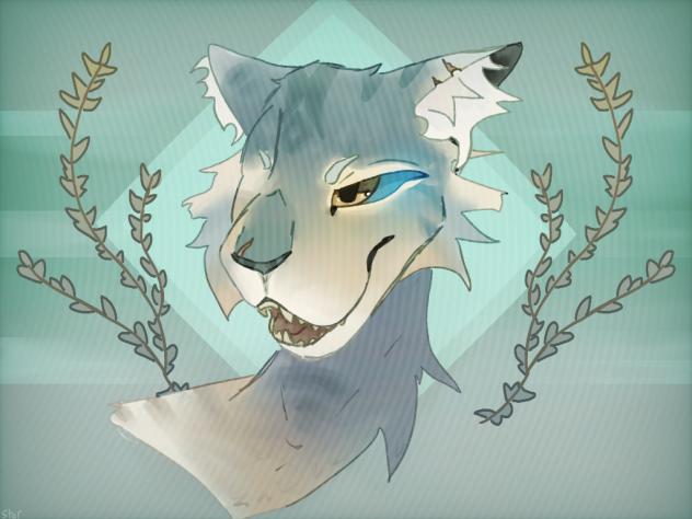 🌊 Tide' star 🌊