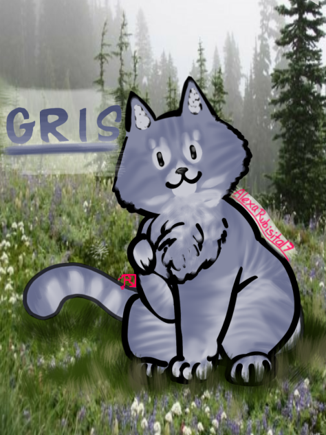 my cat Gris