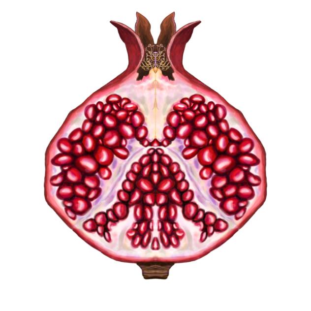 Pomegranate