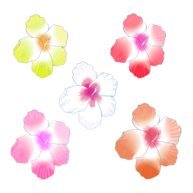 ハイビスカス素材