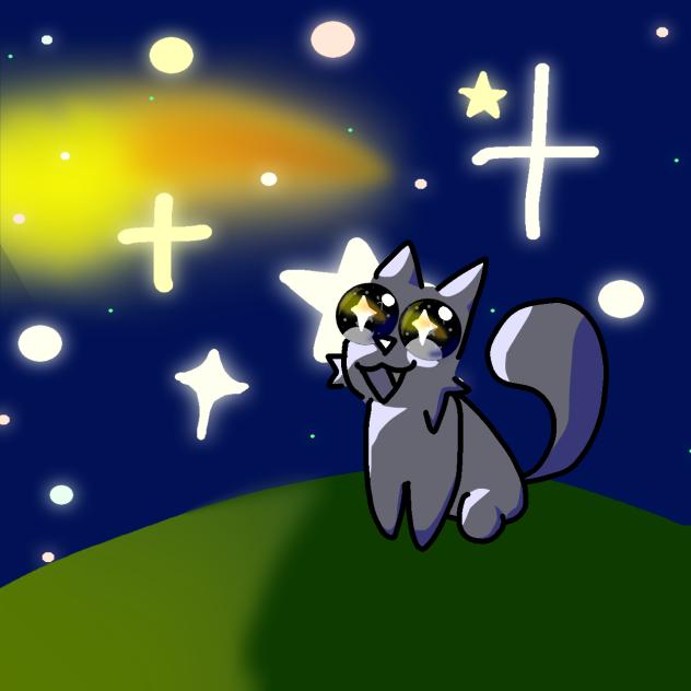 Stars