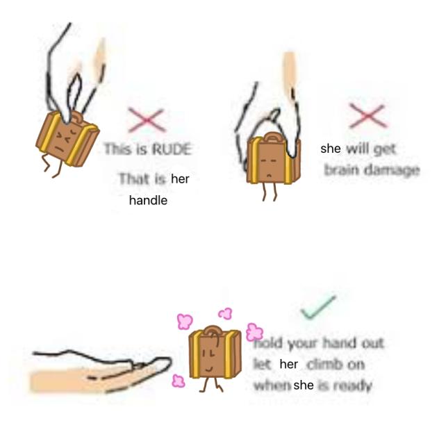 how to handle a suitcase
