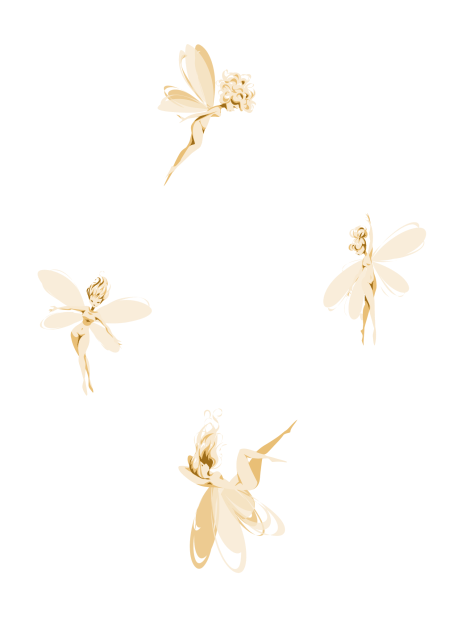 Fairies 🧚