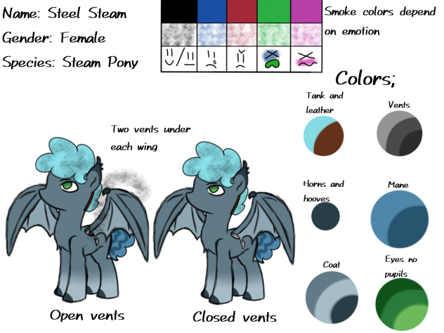 Steep Storm ref sheet steam pony
