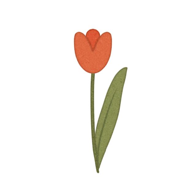 Tulip sticker