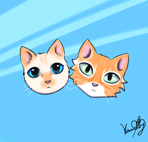 my cats😻😺 Nick and Maik