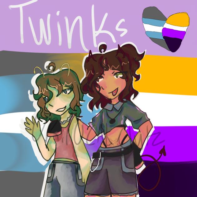 ~Twinks~