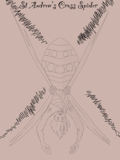 A little sketch of a little spider