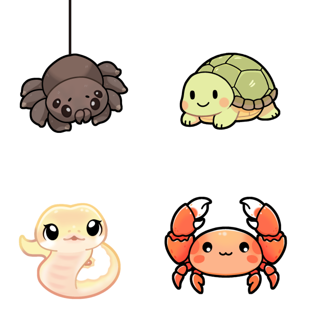 cute creatures 🕸 🐢 🦀 🐍