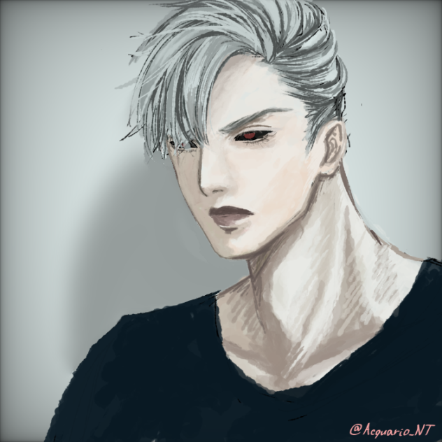 リゾット ネエロ Ibispaint
