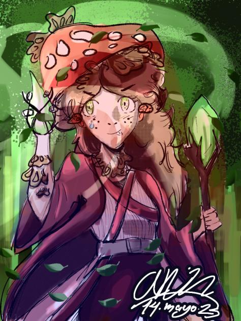 Mushroom 🍄 mage