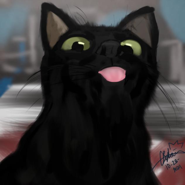 🐈‍⬛