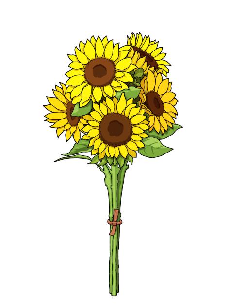Sunflower Bundle