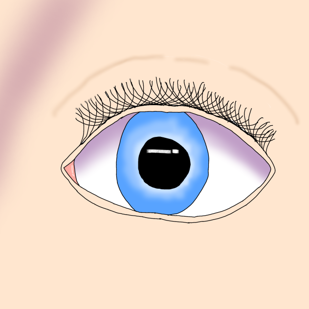 An Eyeball