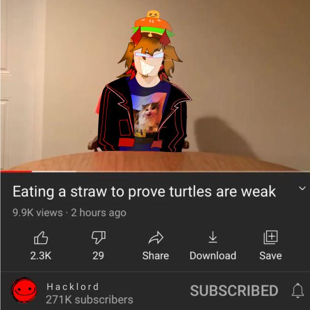 Weak ahh turtles ig