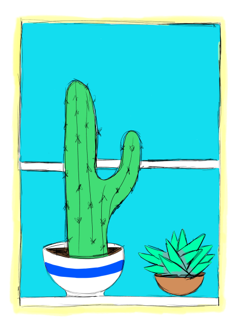 Speedpaint cactus and succulent