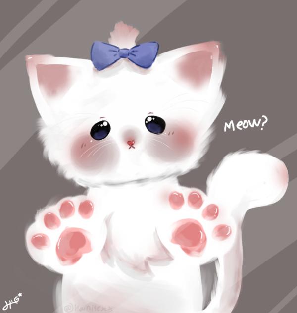 meows❔