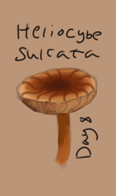 mushroom 8 - ibisPaint