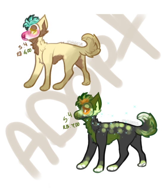 Adopt me;