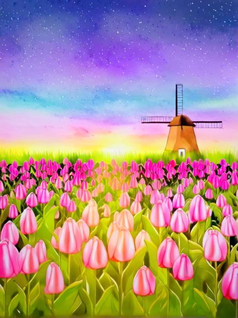 Tulip field (Sunset) (Watercolour)