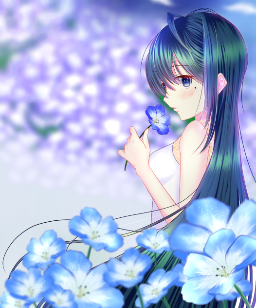 ネモフィラ Ibispaint