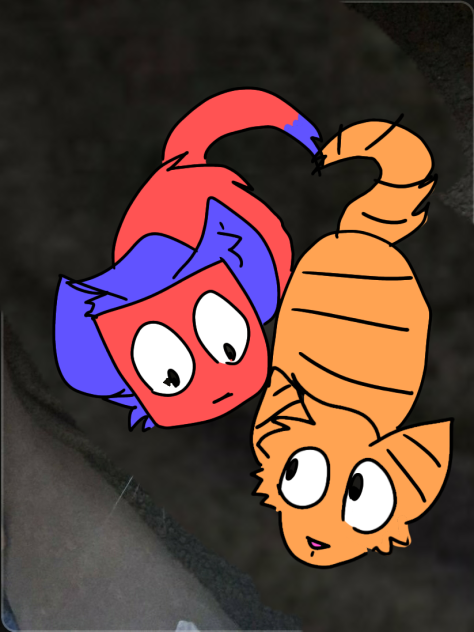 meow