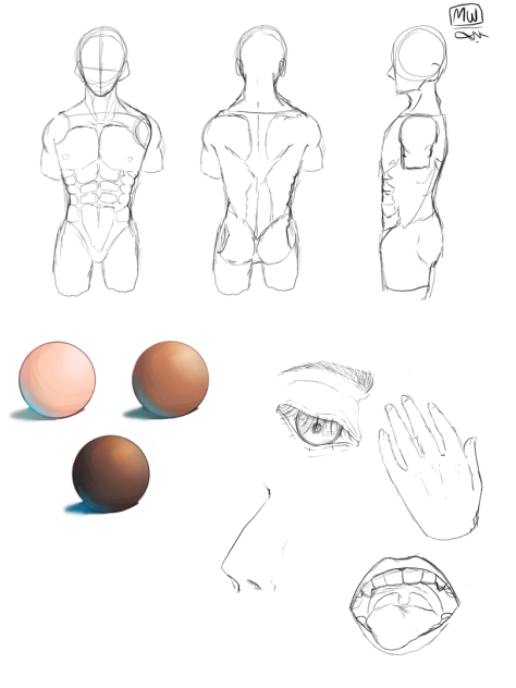 Study