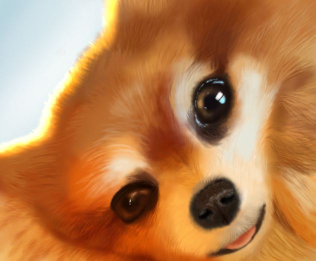 Pomeranian