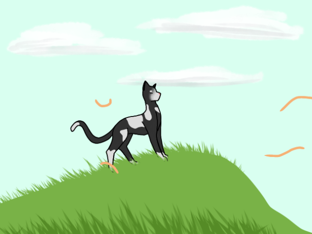 Tallstar - First animation!