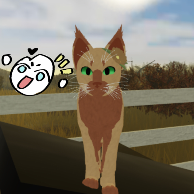 WARRIOR CATS!!