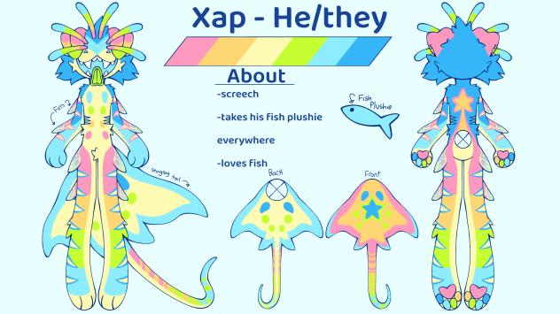 Xap X3