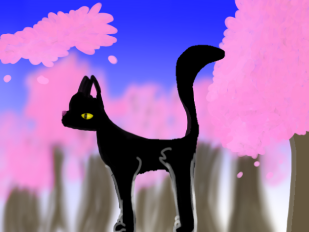 Cat - ibisPaint