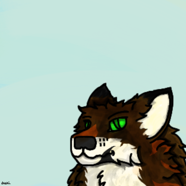 Timber, Practice - 8 Aug, 2024