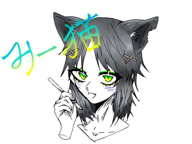 みー猫！