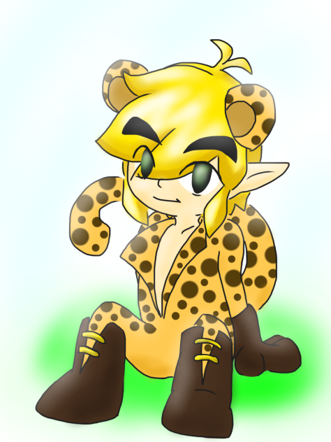 チータースーツ