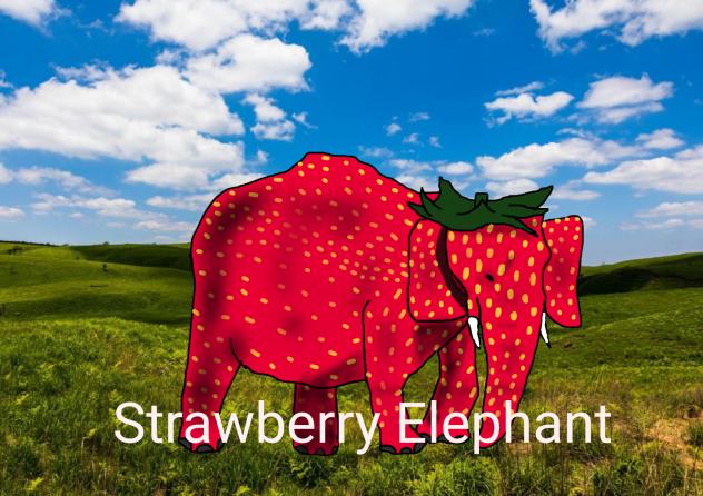 Strawberry Elephant(ストロベリーエレファント)