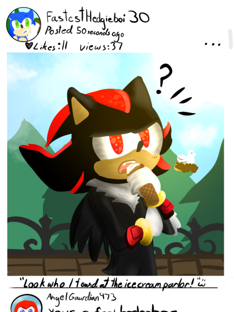 Sonic finds Shadow