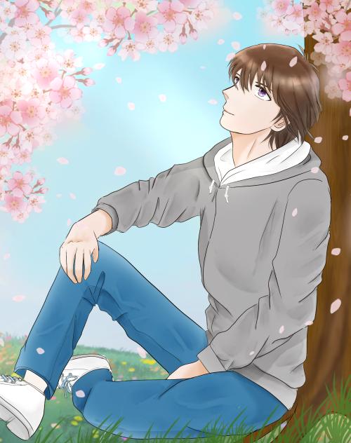 さくら　さく