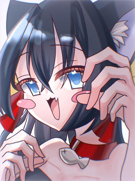 にゃーん