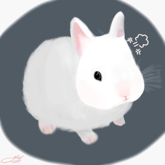 Bunny☆ - ibisPaint