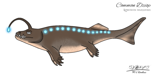 Common Dziop