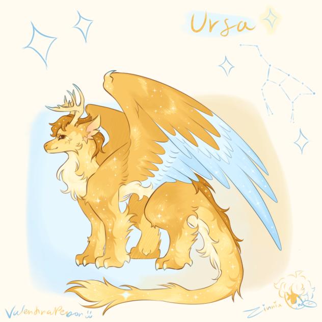 Ursa 💫