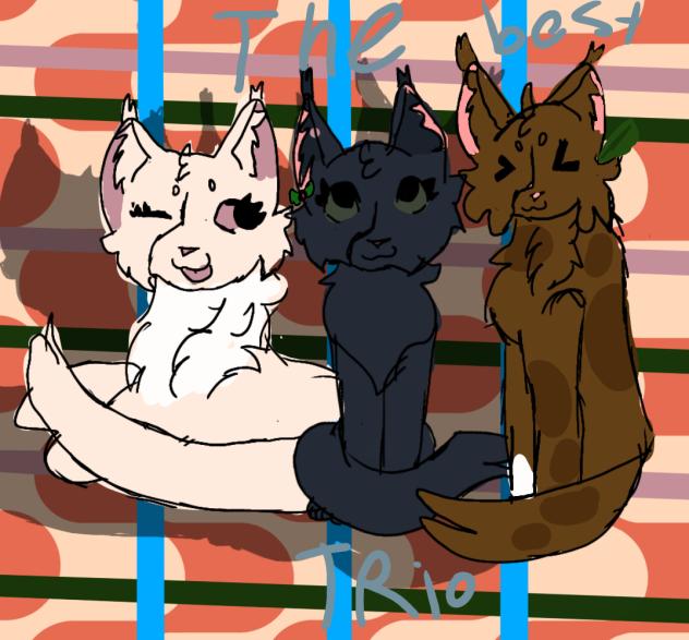 me cherry and hollyleaf