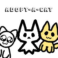 Adopt a cat!