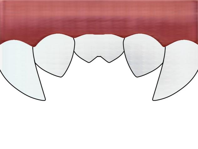 Mouth